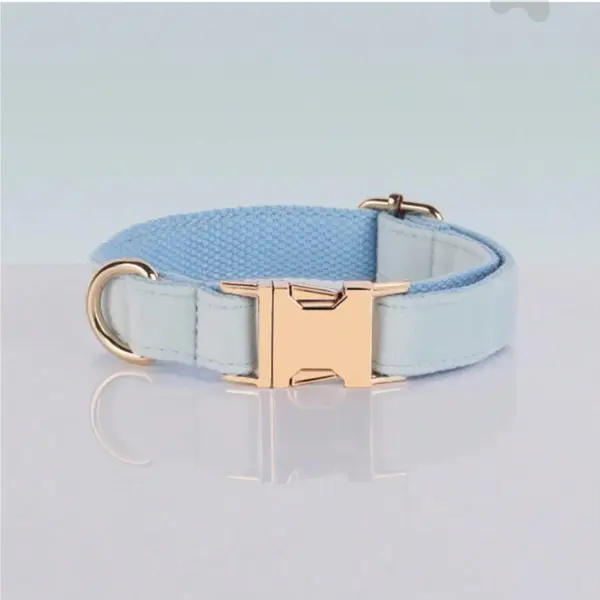 Collar de terciopelo con hebilla dorada - Celeste