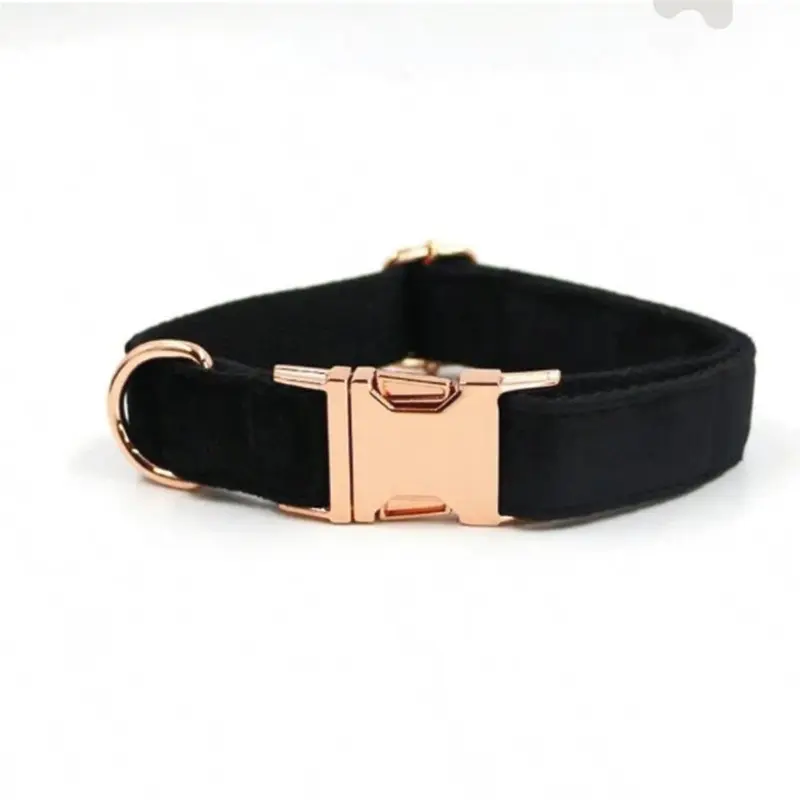 Collar de terciopelo con hebilla dorada - Negro