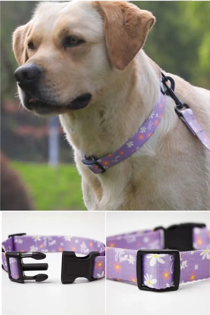 Collar floreado con hebilla - Lila