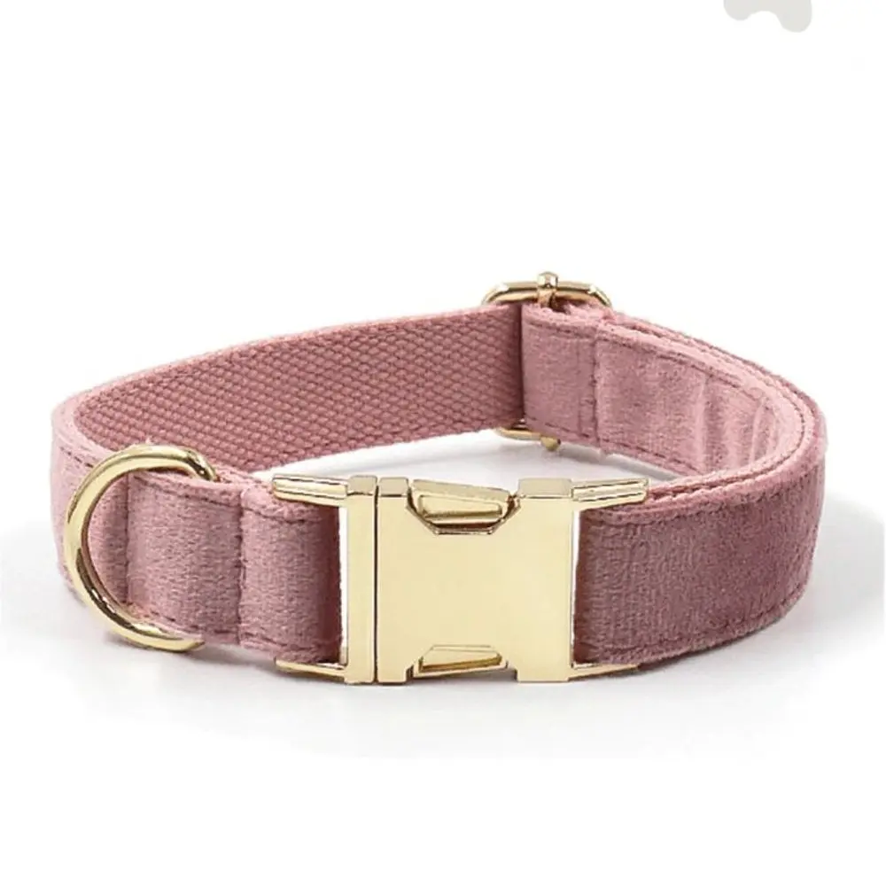 Collar de terciopelo con hebilla dorada - Champán