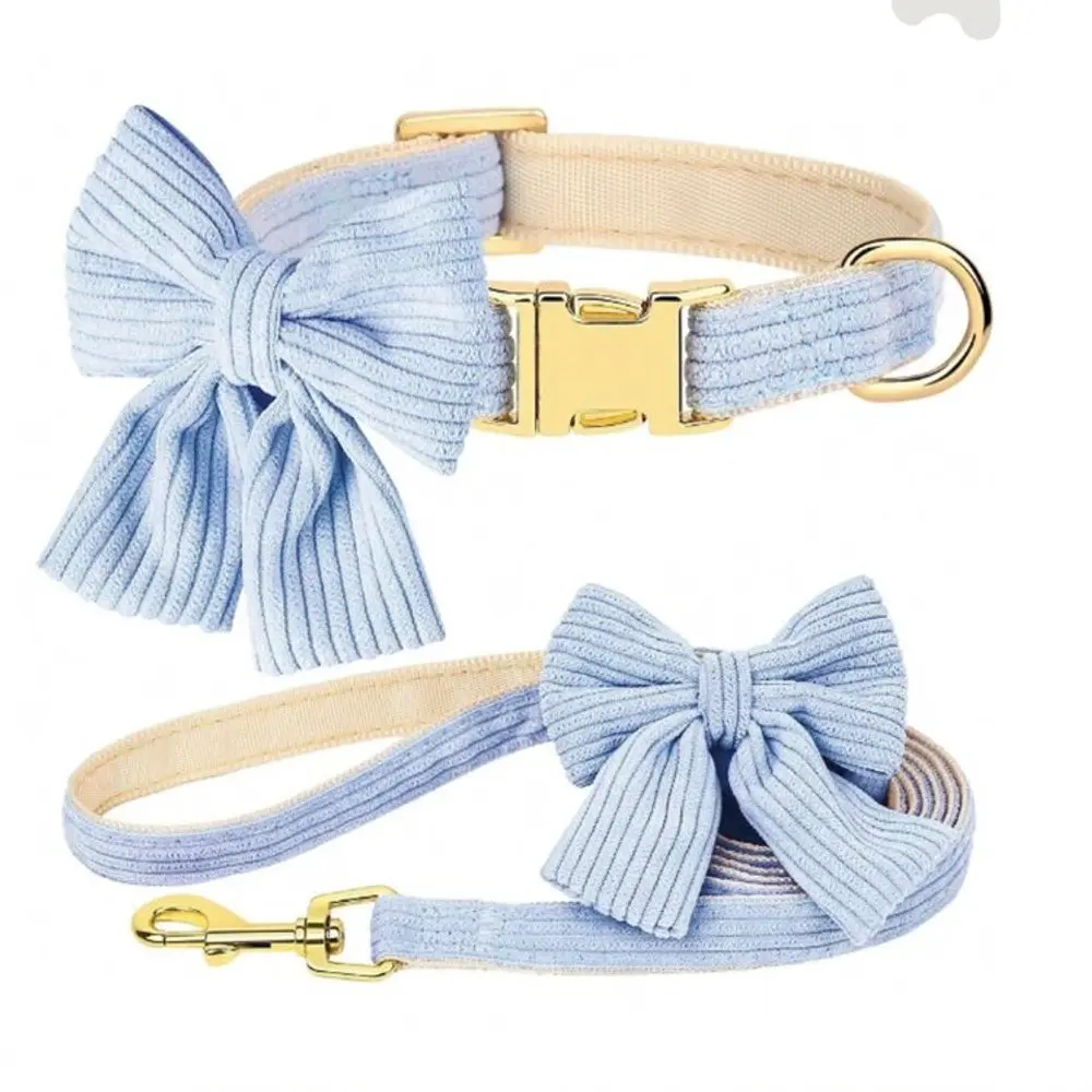 Collar con correa de moño - Celeste